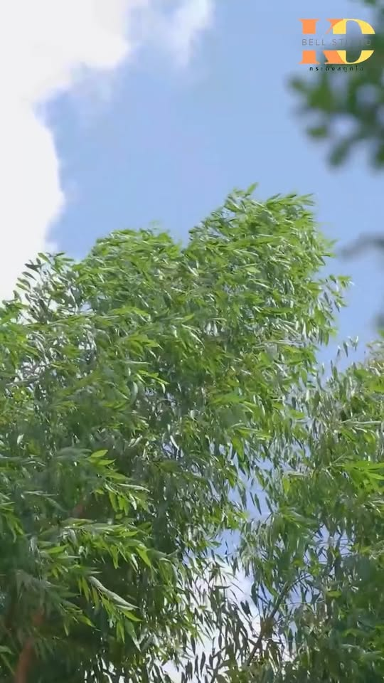 [ครบชุด] PI10104 โดนขอทานเอาน้ำมาสาดใส่หน้าเฉยเลย เขาทำแบบนั้นทำไมดูให้จบ กระดิ่งสตูดิโอ