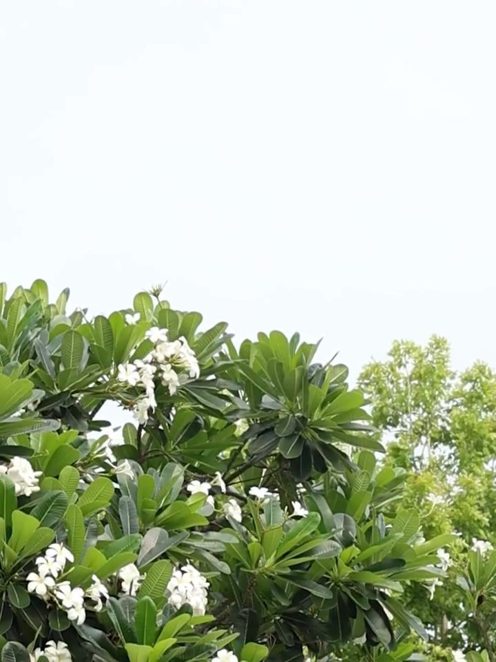 [ครบชุด] XU11232 Facebook (17)